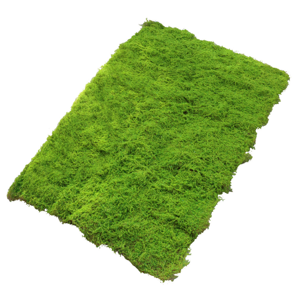 Faux Moss Turf Mat Artificial  - Preserved Moss Sheet ulasan dan harga