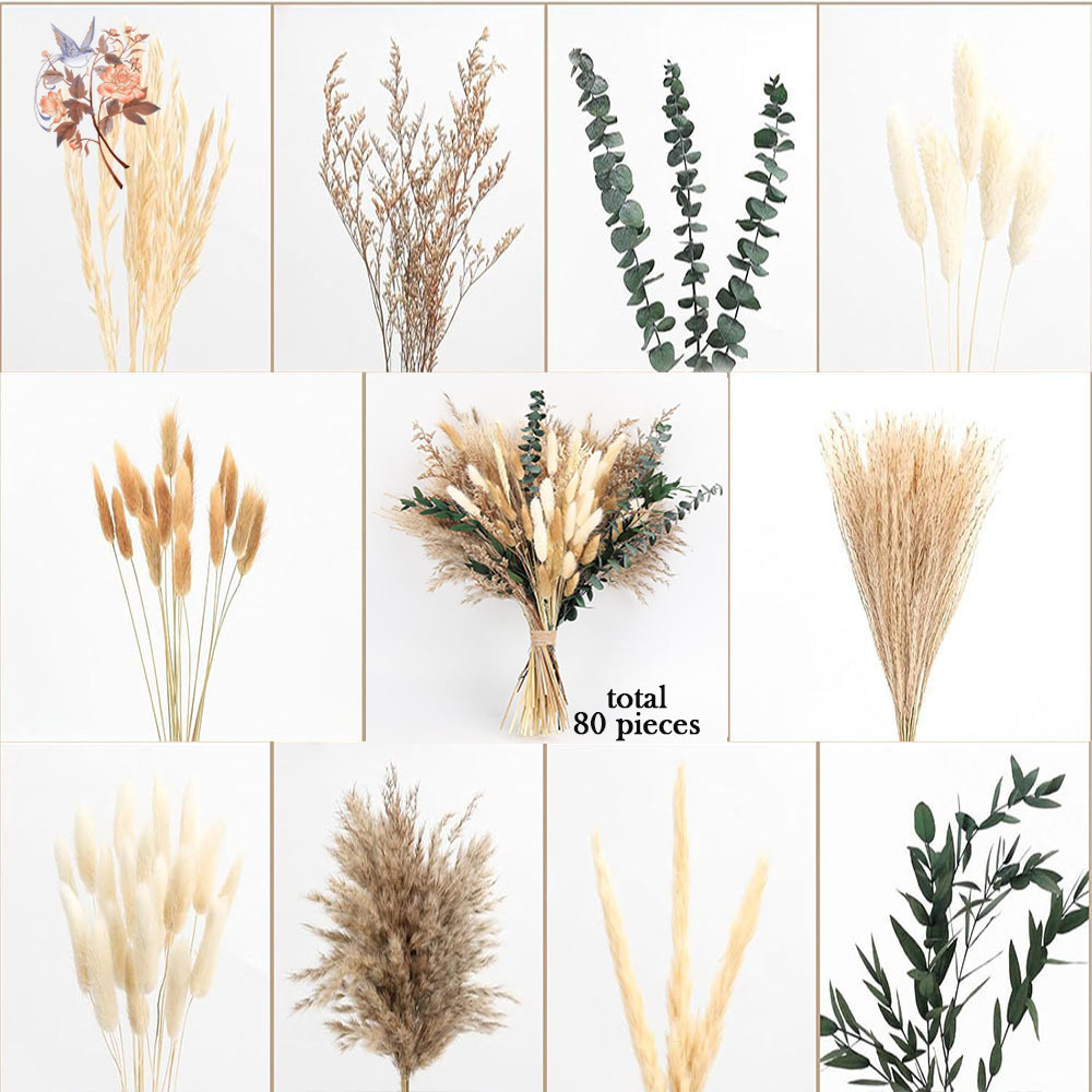 80Pcs Natural Dried Flowers Bo - Eucalyptus Preserved ulasan dan harga