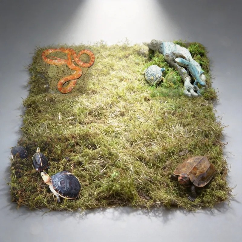Natural Dried Moss Reptile Ter - Preserved Moss Sheet ulasan dan harga