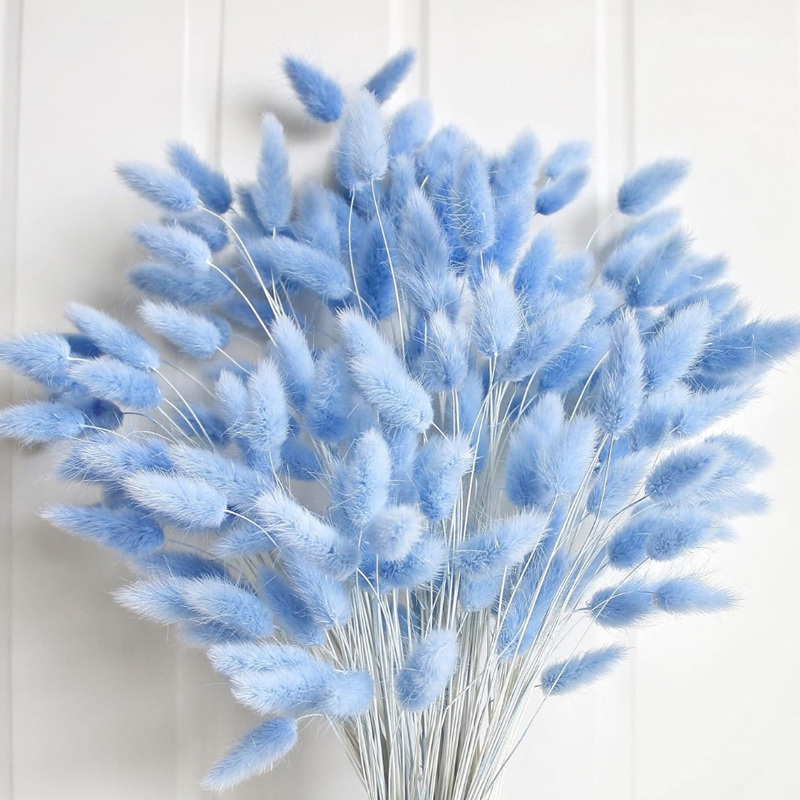 100PCS Blue Hare's-tail Grass  - Florist Supply Vases ulasan dan harga