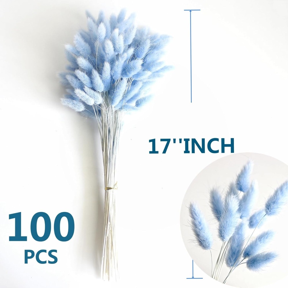 100PCS Blue Hare's-tail Grass  - Florist Supply Vases ulasan dan harga