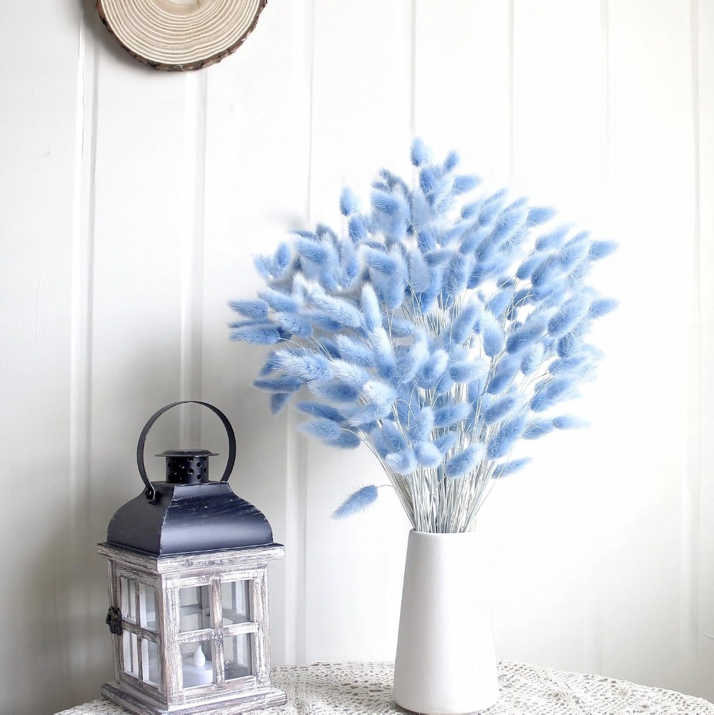 100PCS Blue Hare's-tail Grass  - Florist Supply Vases ulasan dan harga