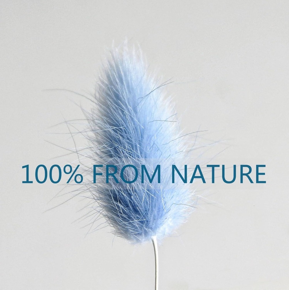 100PCS Blue Hare's-tail Grass  - Florist Supply Vases ulasan dan harga
