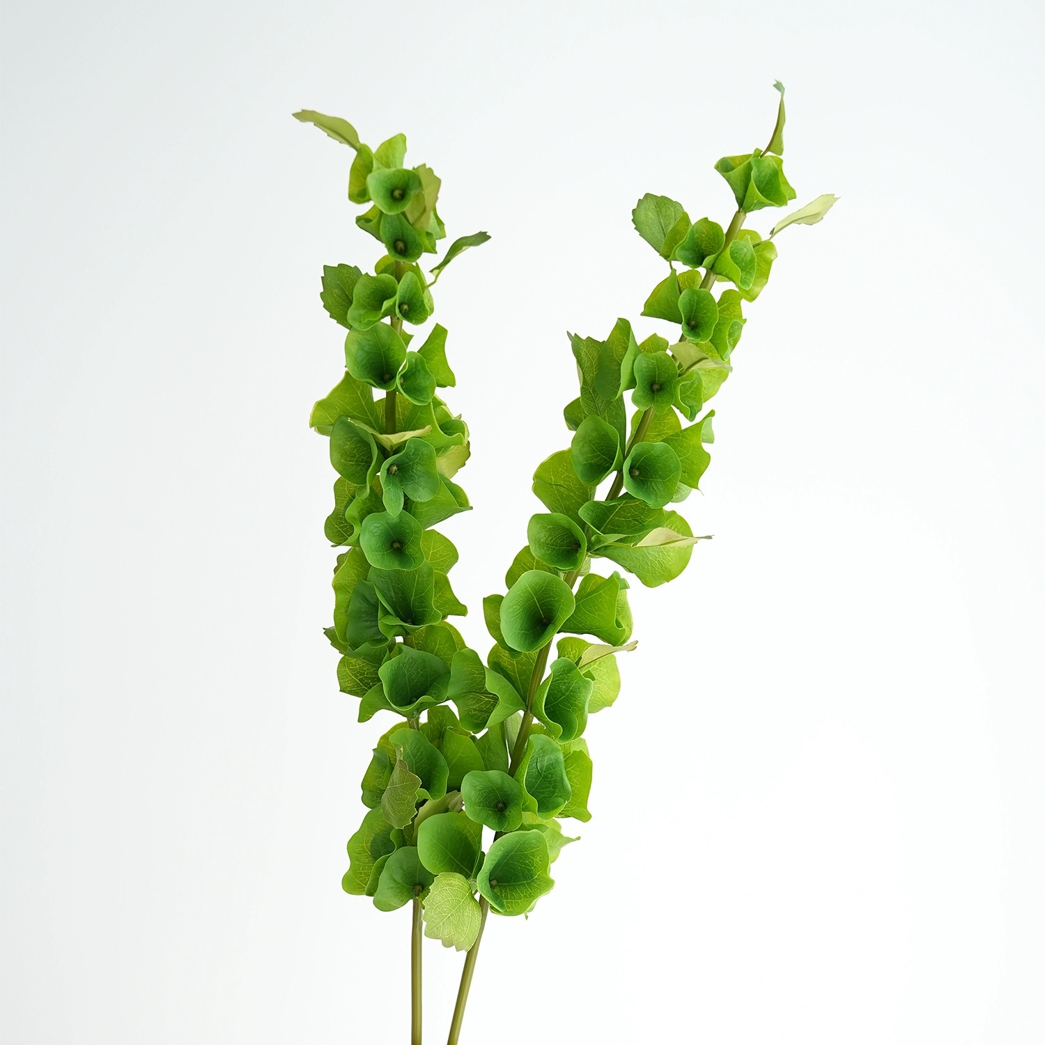 2 pcs Green Artificial Shell F - Florist Supply Bulk ulasan dan harga