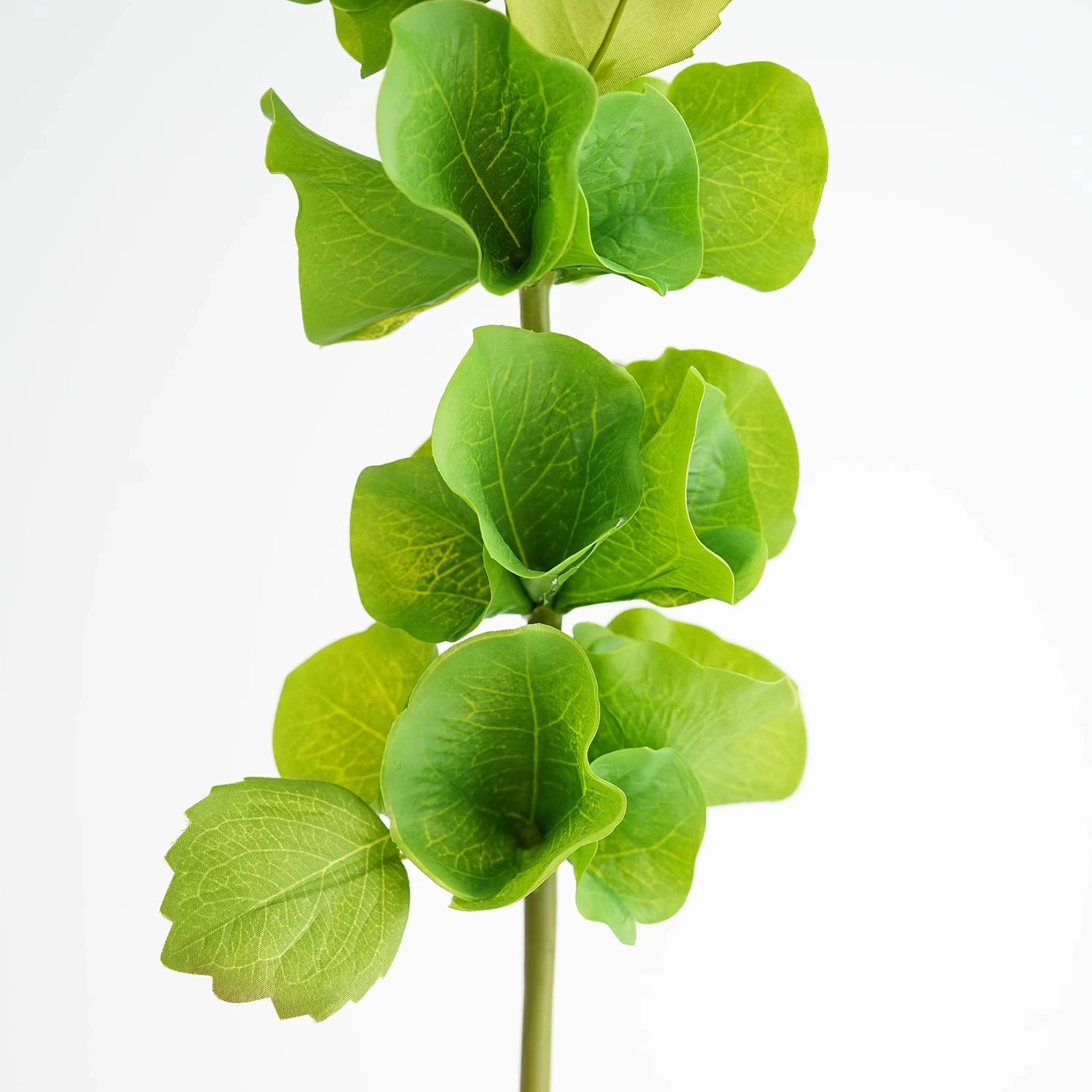 2 pcs Green Artificial Shell F - Florist Supply Bulk ulasan dan harga
